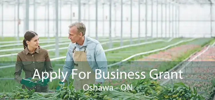 Apply For Business Grant Oshawa - ON